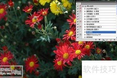 Photoshop动作入门教程