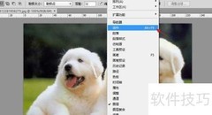 Photoshop动作ATN文件使用技巧