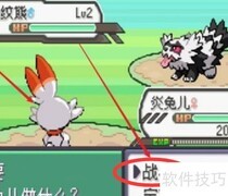 绿宝石5.2通关技巧