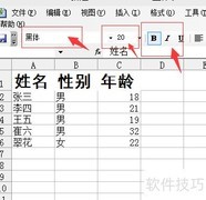 Excel表格美化技巧