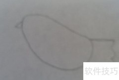 鸽子简笔画教程：轻松几步学会