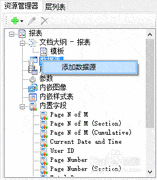 ActiveReports数据源连接
