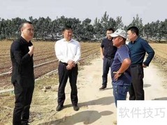 乡镇工作实干指南