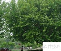 绿化助力环境改善