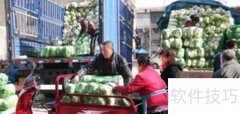 蔬菜批发进货新手指南