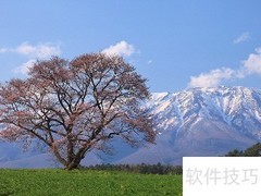 大自然的奇妙声音世界