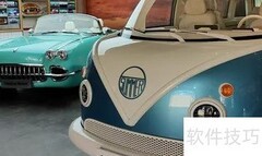 松散海豚是哪国的？