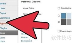 WordPress修改页头Head方法