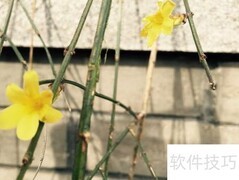 颐和路梦回江南