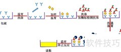 ELISA实验原理详解
