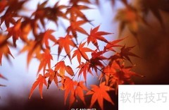 红叶摄影技巧全攻略