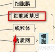 ATP合成的主要场所