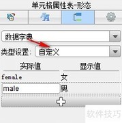 FineReport数据字典设置方法