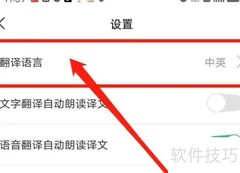 彩云小译语言设置指南