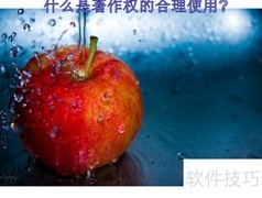 著作权合理使用解析