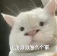 冒险手册新手氪金与白嫖攻略
