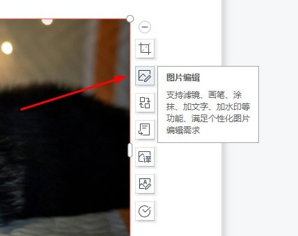 wpspdf怎么裁剪圆形图片图片编辑器帮你忙