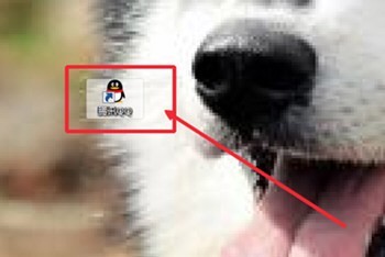 QQ��Ƶ�����¼¼��