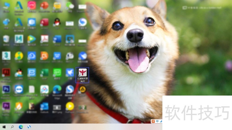 ������ץͼ����RdfSnap�����רҵ����������ȫ֪��