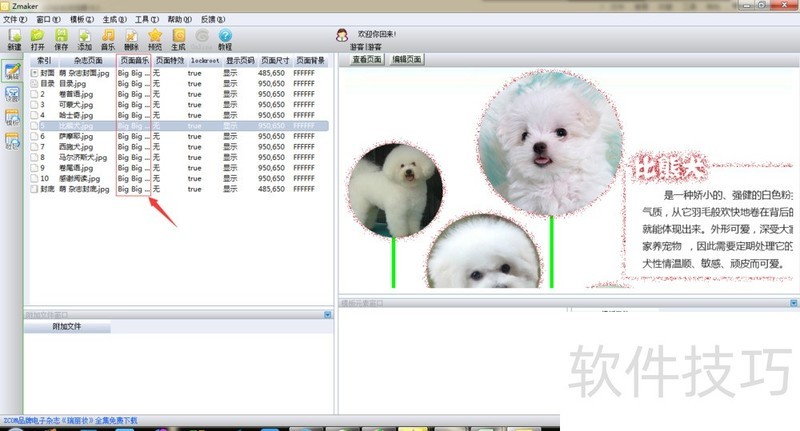 ZMaker��־������ʦ����������ȫ֪�����·����������