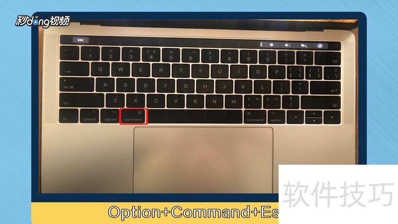 Mac OS X 10.5.6�������ɣ���ǿ�Ʋ�������װʧ�ܽ��