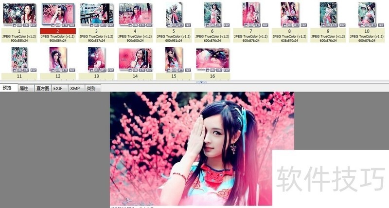 XnView���İ棺������ͼ��������������ȫ֪��