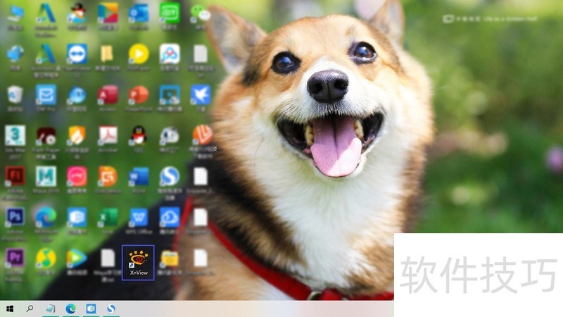 XnView中文版:超棒看图软件及实用操作技巧全解析 XnView中文版:超棒看图软件及实用操作技巧全解析