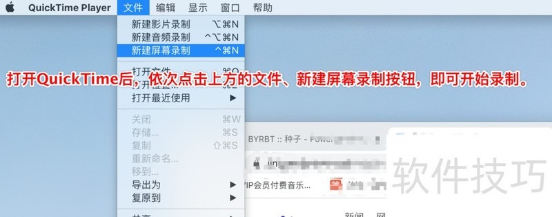 Quicktime��ʵ�õĲ����������ֲ������ɵ�����