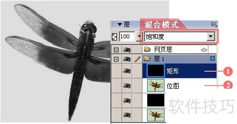 Fireworks 8操作全解析:网站作图、技巧及中文版下载 Fireworks 8操作全解析:网站作图、技巧及中文版下载