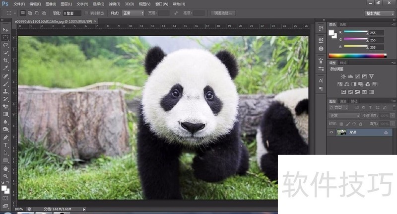 黑白照片上色?软件操作技巧全知道! 黑白照片上色?软件操作技巧全知道!