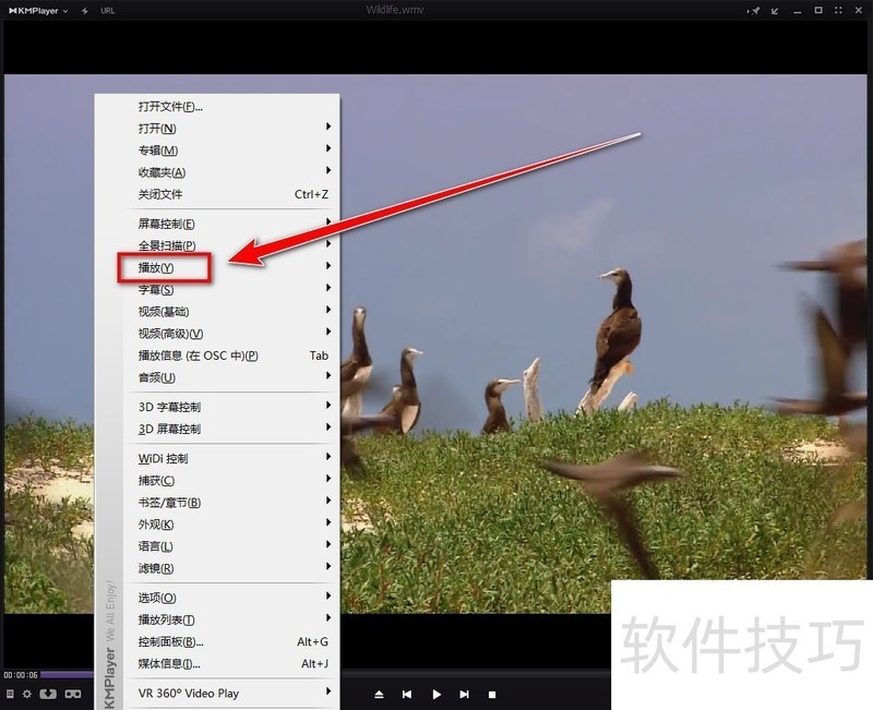 KMPlayer��ȫ�ܲ���������������ȫ֪���������١����б��ȣ�