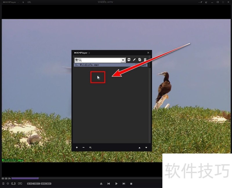 KMPlayer��ȫ�ܲ���������������ȫ֪���������١����б��ȣ�