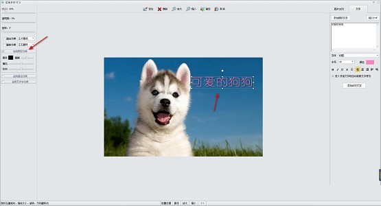 iSee如何给图片添加文字?iSee给图片添加文字的方法 截图