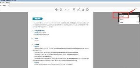 Adobe Acrobat Reader DC如何查找区分大小写？Adobe Acrobat Reader DC查找区分大小写的方法