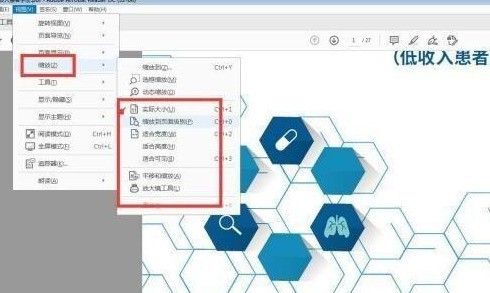 Adobe Acrobat Reader DC如何设置重排？Adobe Acrobat Reader DC设置重排的方法