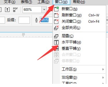 CorelDraw2019中如何展示两个页面？CorelDraw2019中展示两个页面的方法