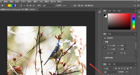 photoshop2020怎么样调整亮度？photoshop2020调整亮度的方法