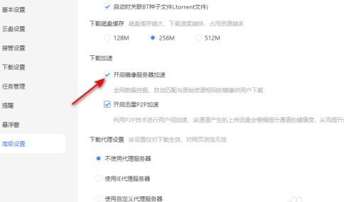 迅雷11怎么开启镜像服务器加速？迅雷11开启镜像服务器加速的方法