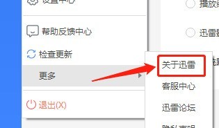 迅雷11如何查看组件版本？迅雷11查看组件版本的方法