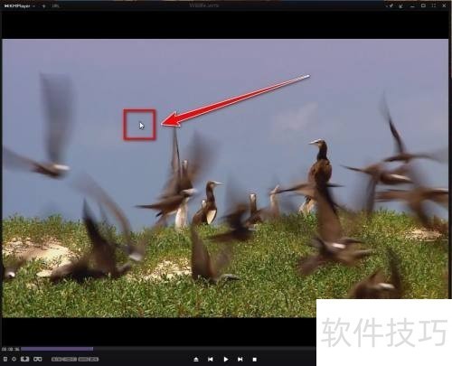 KMPlayer:全能影音播放器的操作技巧全知道 KMPlayer:全能影音播放器的操作技巧全知道