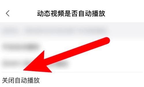 哔哩哔哩怎么关闭动态视频自动播放?哔哩哔哩关闭动态视频自动播放的方法