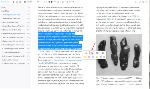 Neat Reader如何翻译EPUB文档中的英文?Neat Reader翻译EPUB文档中英文的方法