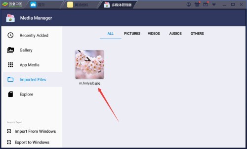 BlueStacks如何导入电脑图片?BlueStacks导入电脑图片的方法