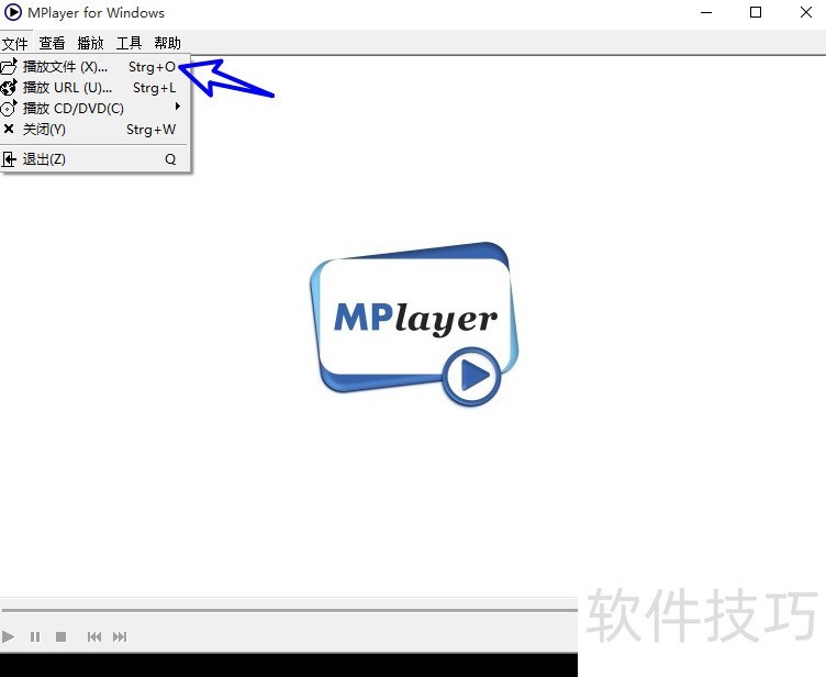 MPlayerǿȫ