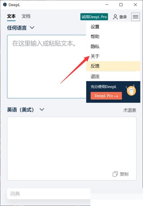 DeepL翻译器怎么查看版本?DeepL翻译器查看版本方法