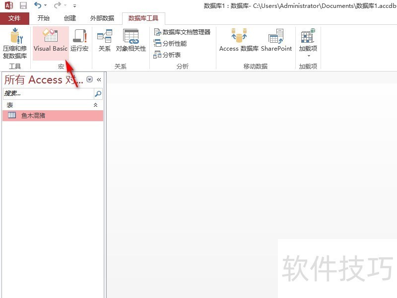 Access 2010����������ȫ�����������ӡ������ߡ�VBA