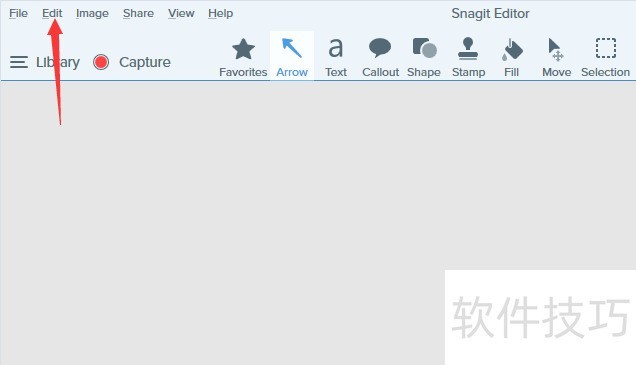 SnagIt����ȫ֪�������ܡ�����ת����ʵ�ò�������