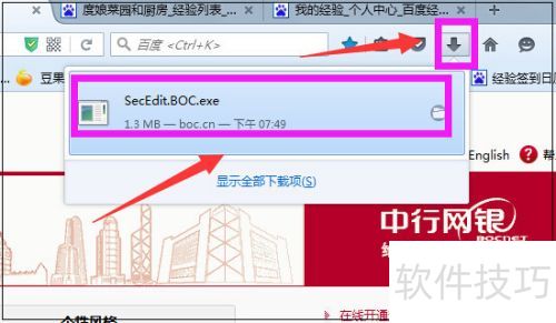 �й������������а�ȫ�ؼ����ذ�װ��