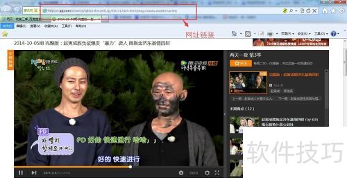 ˶���flv��������ô��