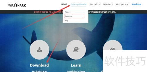 Wireshark��������